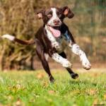 Julien SESIA - Julien-Sésia-Photographie©