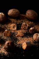 Pablo BAILLEUL - Bailleul